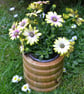 Ash Wooden turned Flower Bowl designed to take a standard plant pot. - Image 6
