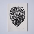 Slug-Eaten Hosta Original Limited Edition Lino Print