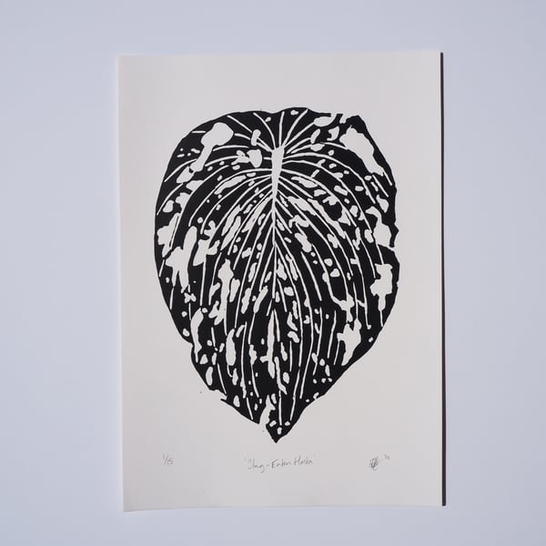 Slug-Eaten Hosta Original Limited Edition Lino Print