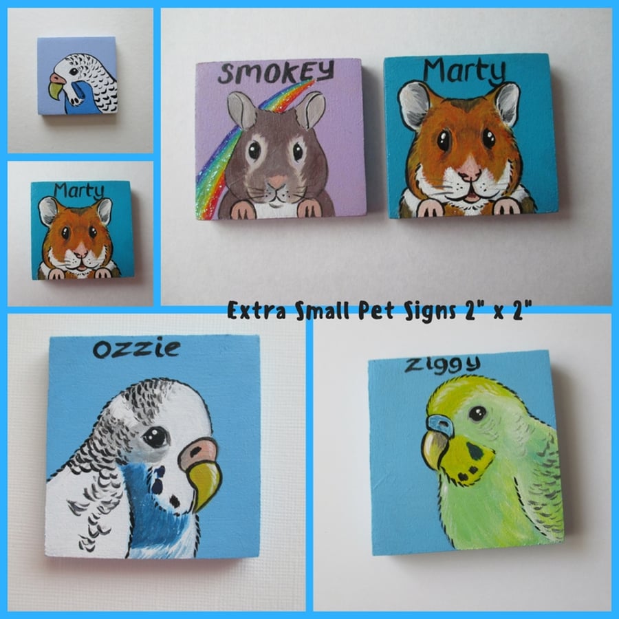 Pet Cage Sign Custom Painted Personalised Portrait XXS hamster gerbil budgie