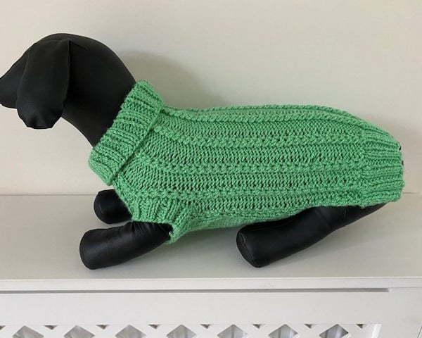 Dog Jumper - Ideal for a Miniature Dachshund or Small Dog