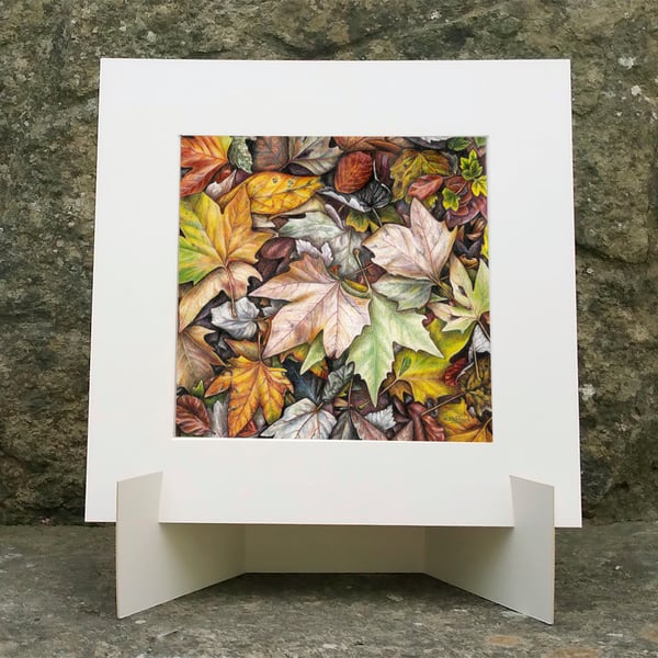 Fallen Autumn Leaves Original Colour Pencil Drawing No 4