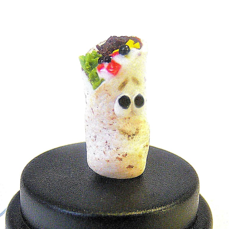 Pet Burrito, Mexican food, Tex Mex, Pet Tortilla, Fast food lover