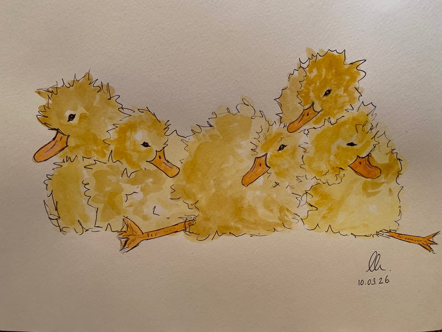 Duckling Snuggle Up