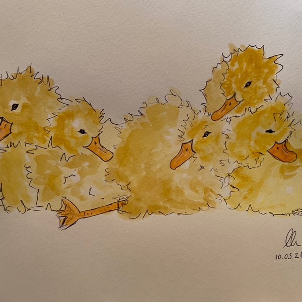 Duckling Snuggle Up