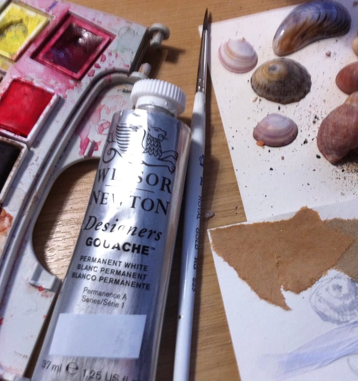 The Sea Thrift Studio
