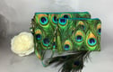 Zip clutches