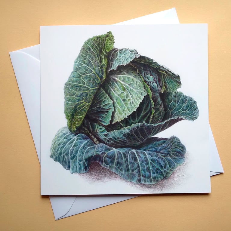 Greetings card - blank – Savoy Cabbage