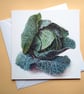 Greetings card - blank – Savoy Cabbage