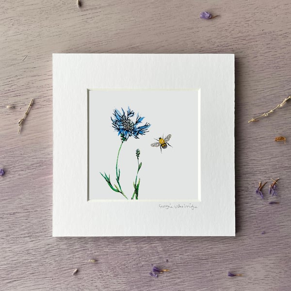 'Cornflower' 5" x 5" Mounted Print