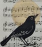 'Evensong' Blackbird original lino cut print  - Image 3