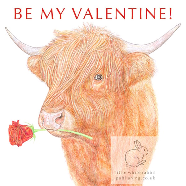 Highland Cow - Valentine Card