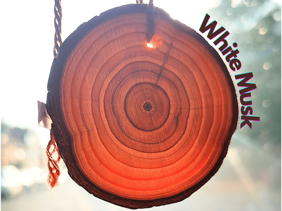 White Musk Car Air Freshener. Wooden slice with long-lasting fragrance. Handmade