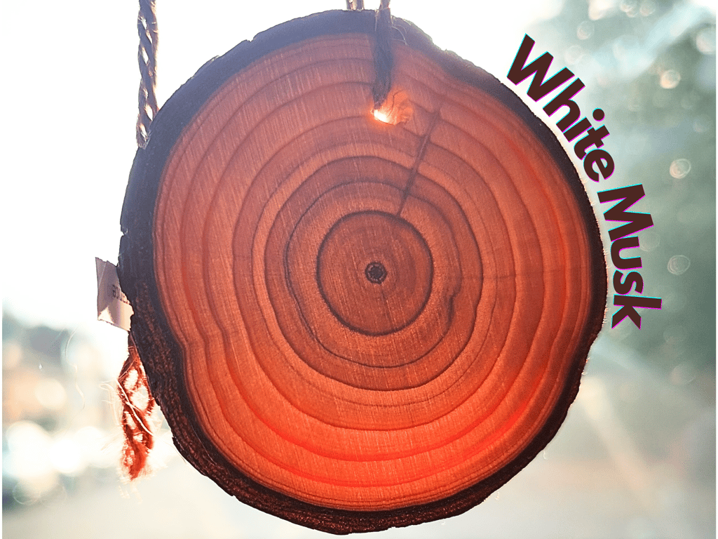 White Musk Car Air Freshener. Wooden slice with long-lasting fragrance. Handmade