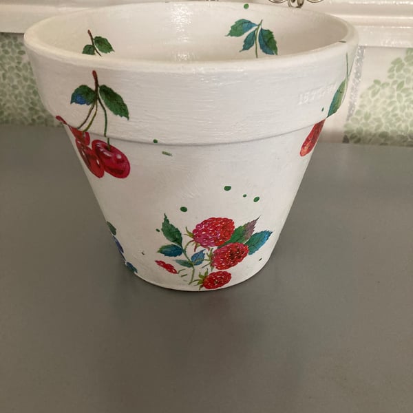 Berry flower plant pot 