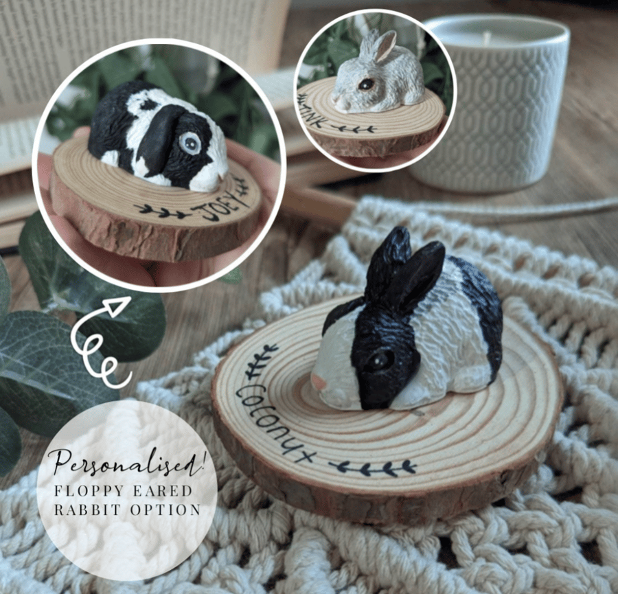 Bespoke Hand Painted Personalised Rabbit Bunny Ornament Silva Paws 