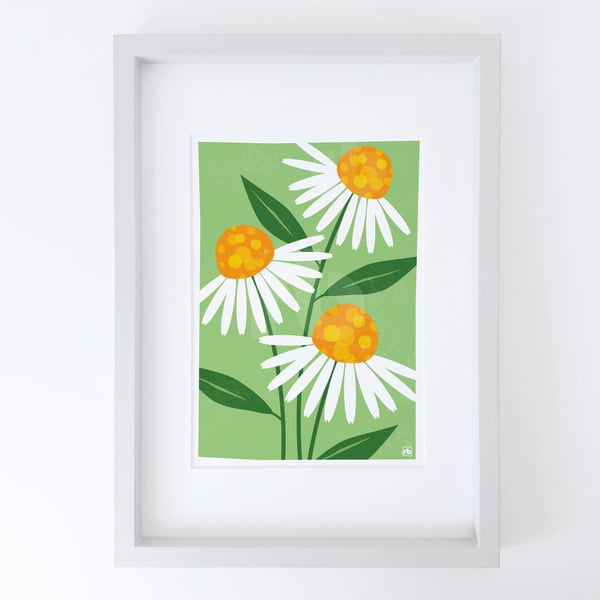 Echinacea Flowers, illustration, original Giclee print