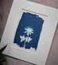 cyanotype print: "Anemone Blanda Blue". Original, mounted ready to frame