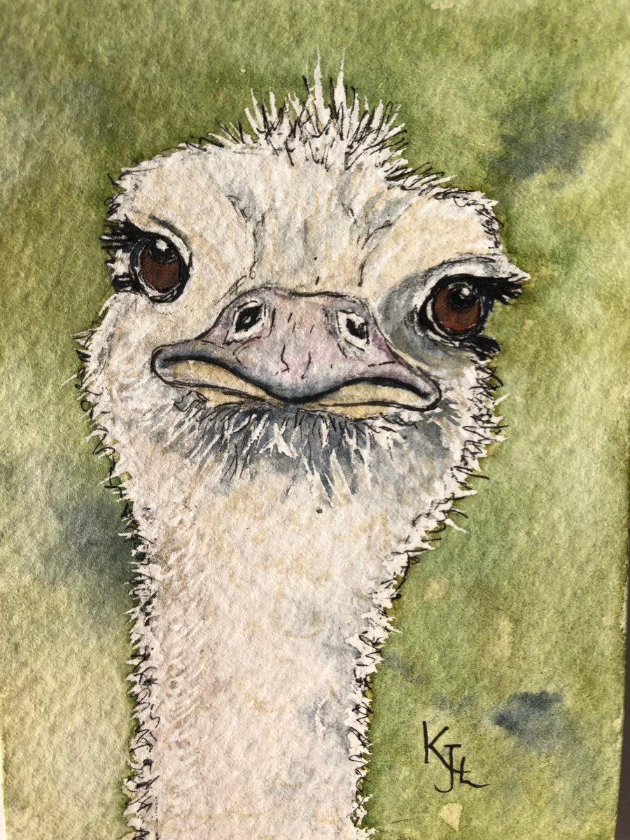 Original watercolour of Oswald Ostrich  - ACEO - free UK postage 