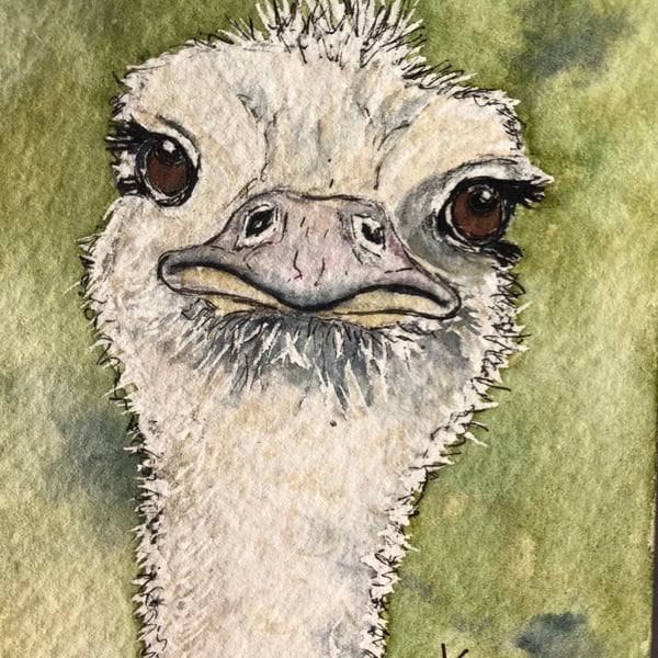 Original watercolour of Oswald Ostrich  - ACEO - free UK postage 