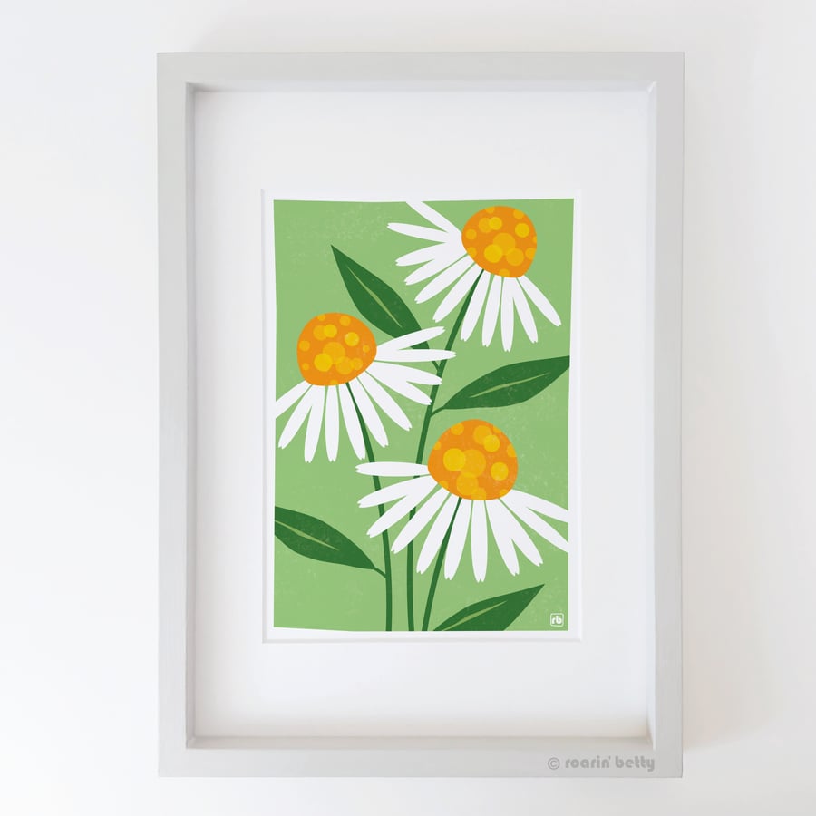 Echinacea Flowers, flower print for wall, original Giclee print