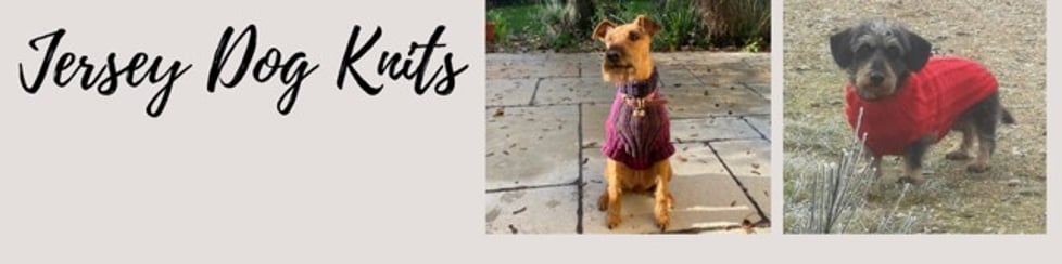 Jersey Dog Knits