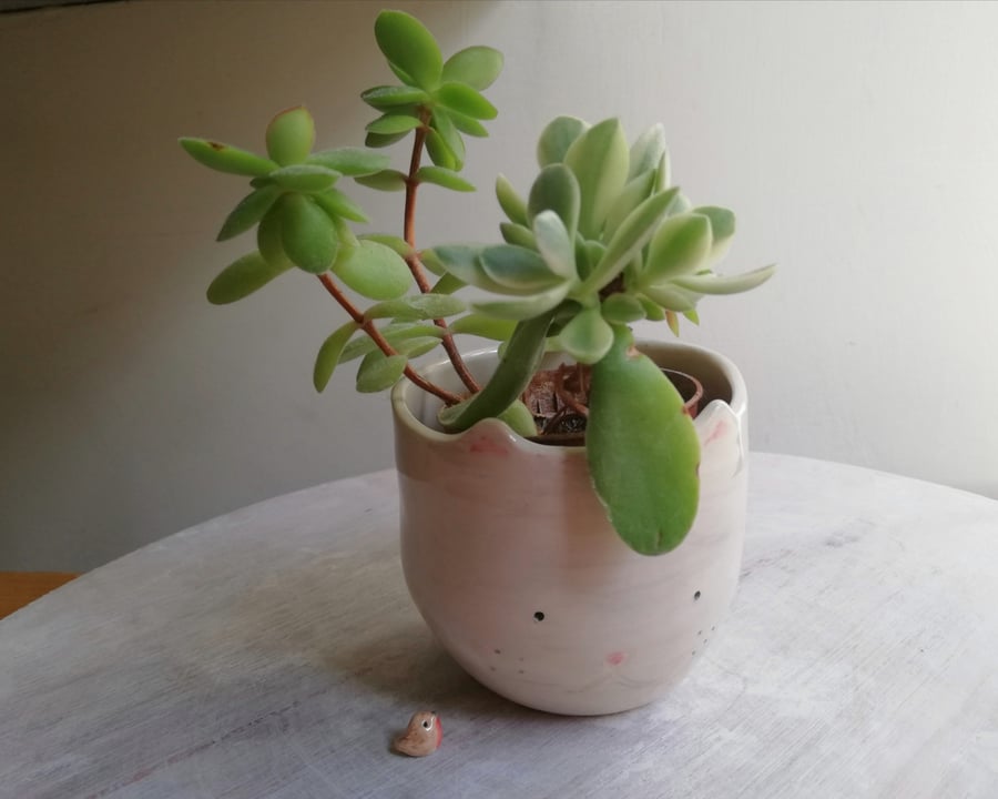 Ceramic cat succulent cactus planter pot handmade pottery Seconds Sunday