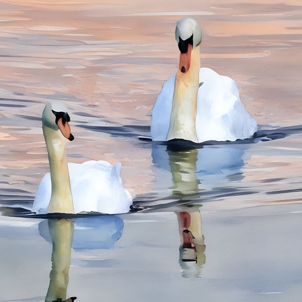 Swans on a Winter Walk Norfolk Fens Greeting Card A5