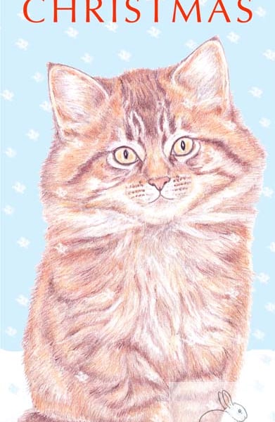 Moppet the Kitten - Christmas Card