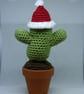 Crochet Cactus desert style, Christmas Cactus with removeable Santa hat.  - Image 6