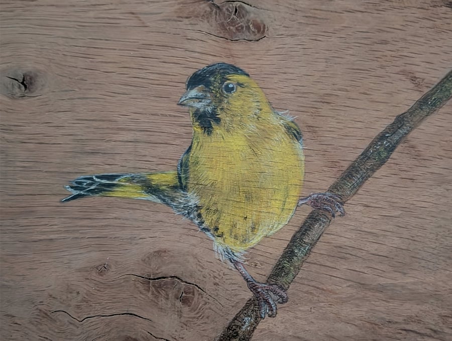 Siskin Painting on Reclaimed Wood