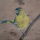 Siskin Painting on Reclaimed Wood