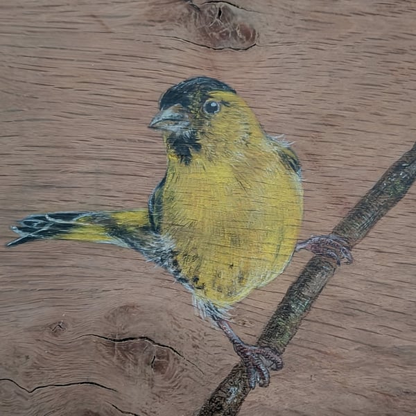 Siskin Painting on Reclaimed Wood