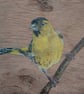 Siskin Painting on Reclaimed Wood