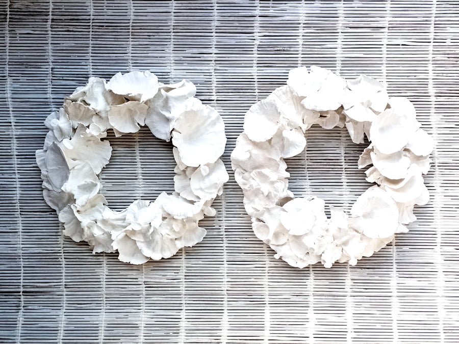 Contemporary, Minimalist, Simple Dried Plant, Pair of Wreath Rings in White 