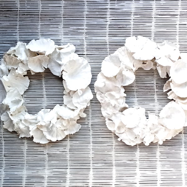 Contemporary, Minimalist, Simple Dried Plant, Pair of Wreath Rings in White 