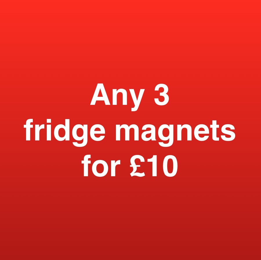 ANY 3 fridge magnets for ten pounds