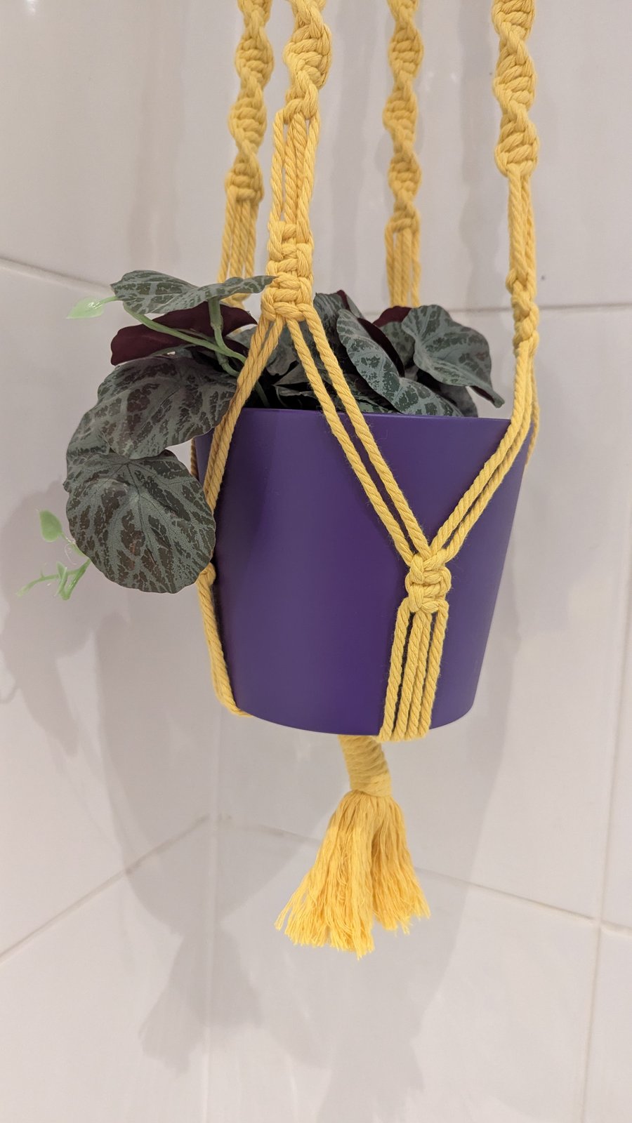 Plant pot hanger - purple and yellow