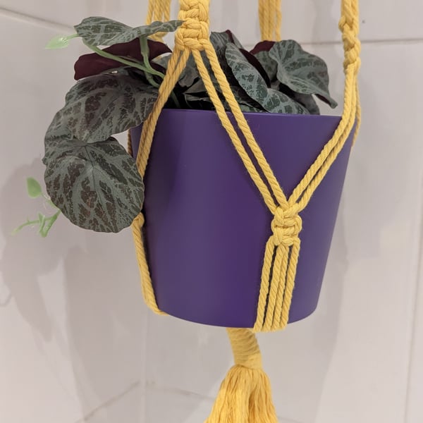 Plant pot hanger - purple and yellow