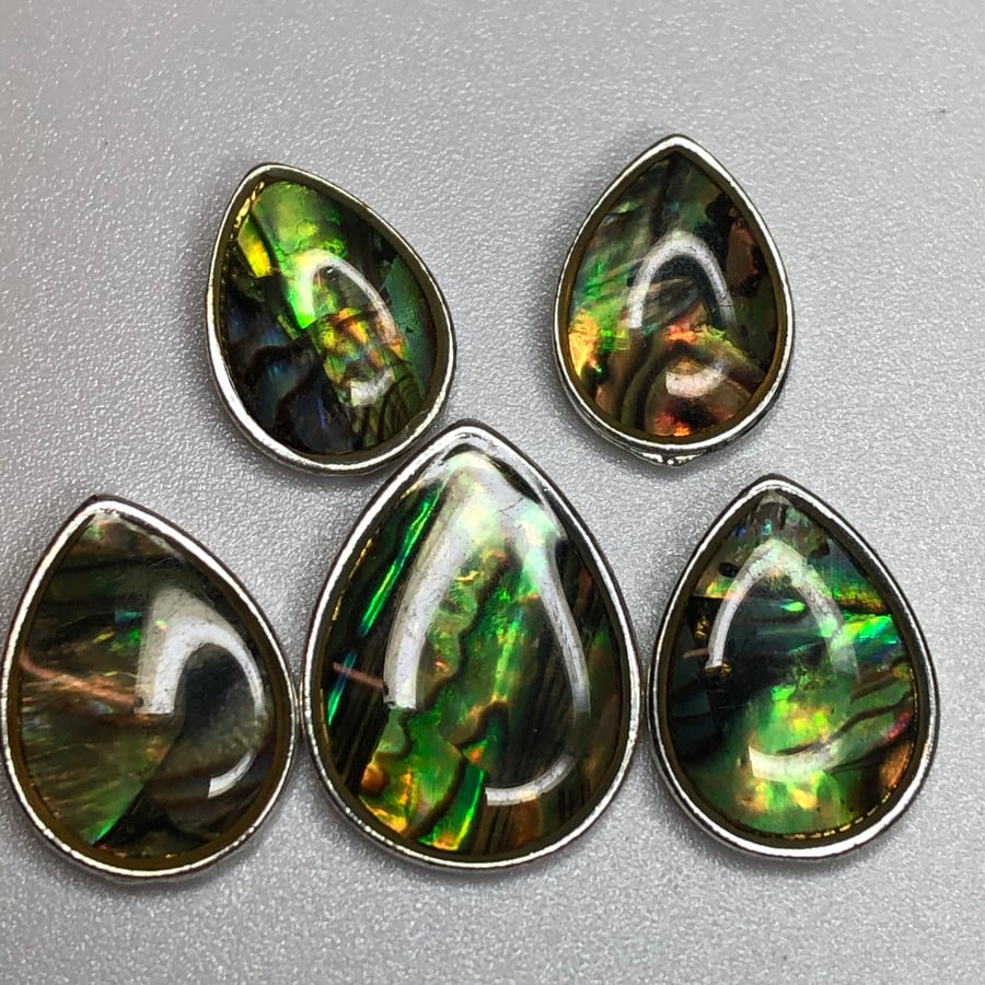 Abalone And Silver Plated Charms 