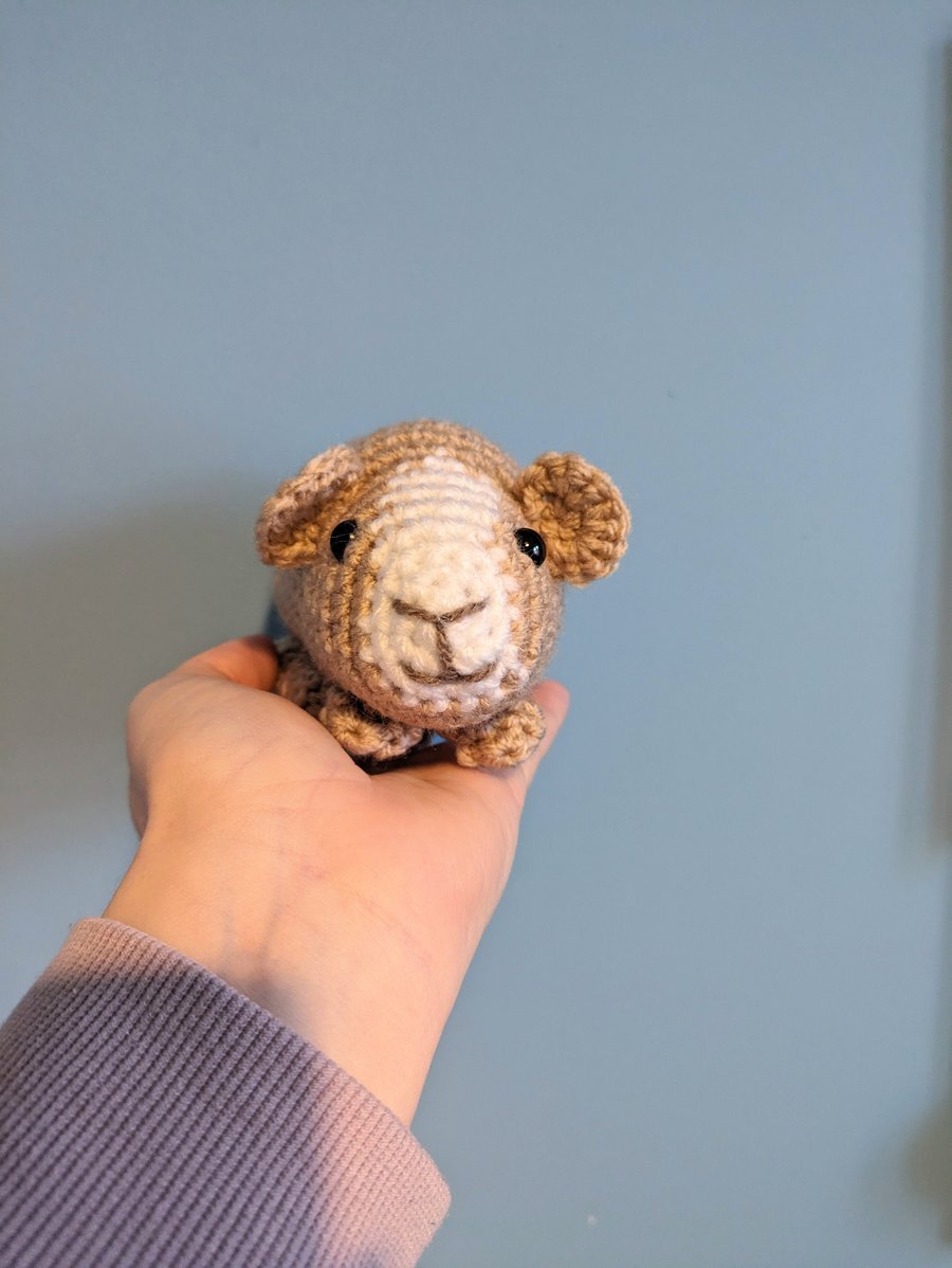 Crochet Guinea Pig, Personalised Pet Teddy, Guinea Pig Gift, Pet Memorial, Pig P