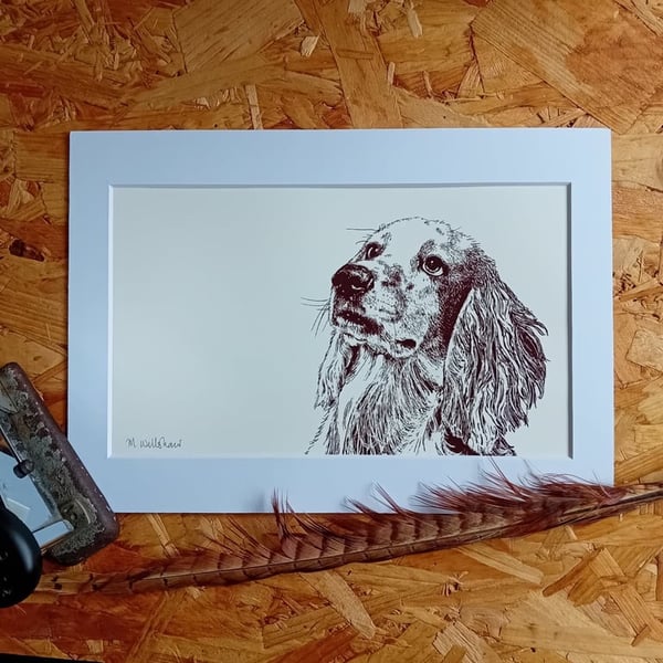Spaniel Dog Print - cocker, working cocker, spaniel owner, art print