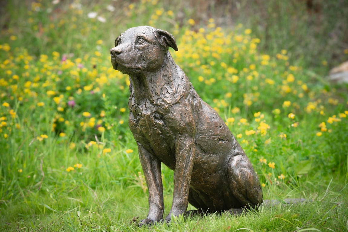 Sitting Crossbreed Dog Statue Large Bronze Resin Garden Sculpture