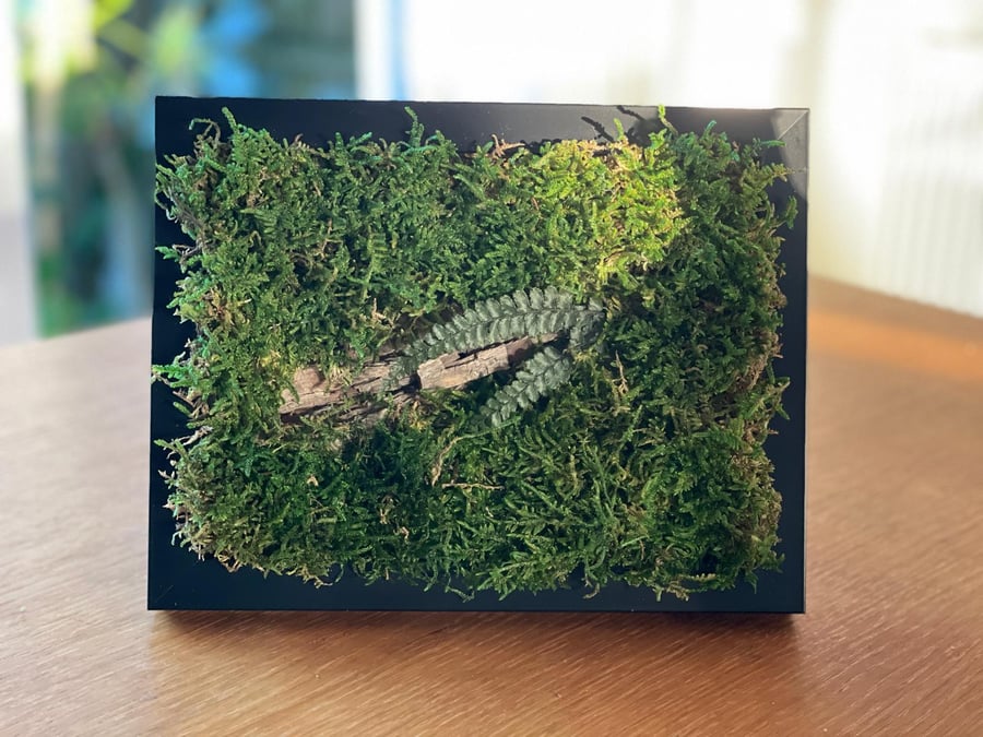 Framed Forest Vignette