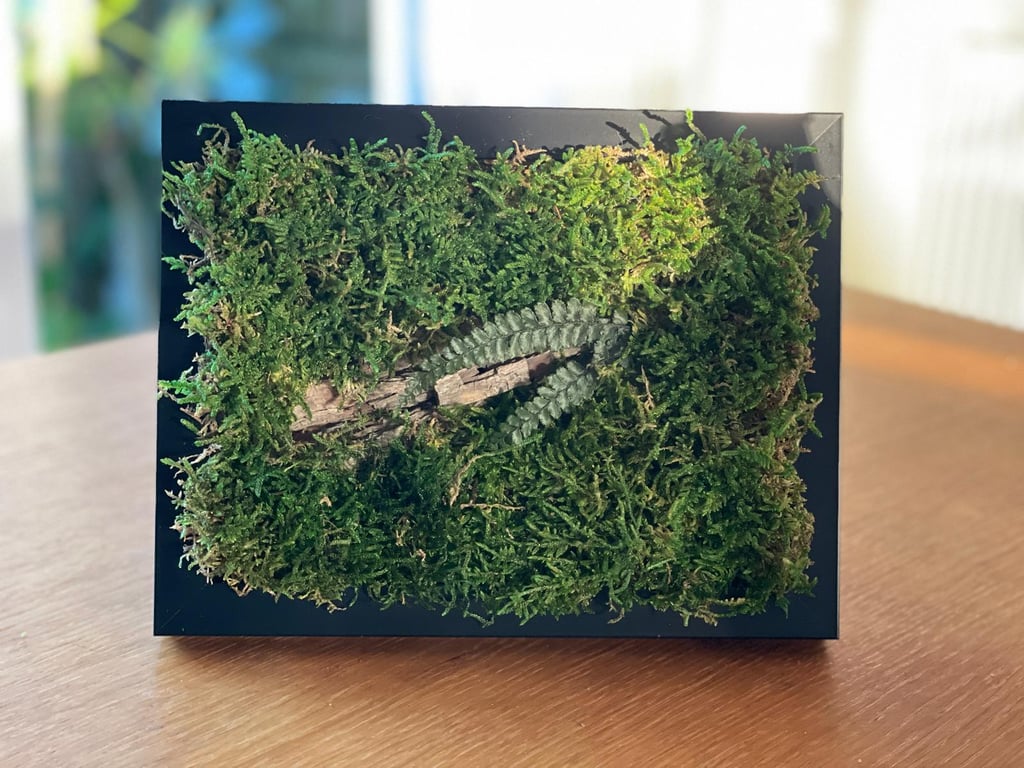 Framed Forest Vignette