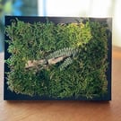 Framed Forest Vignette (SOLD)