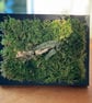 Framed Forest Vignette (SOLD) - Image 1