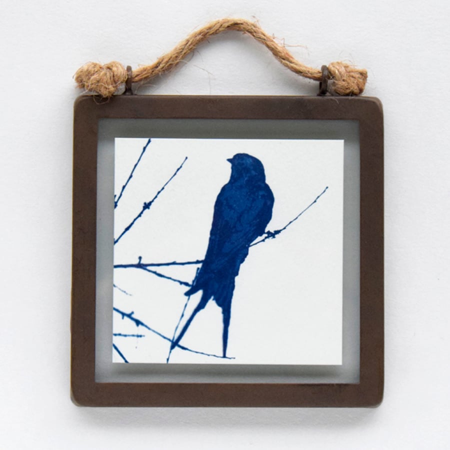 Swallow Cyanotype in industrial style metal and glass square frame