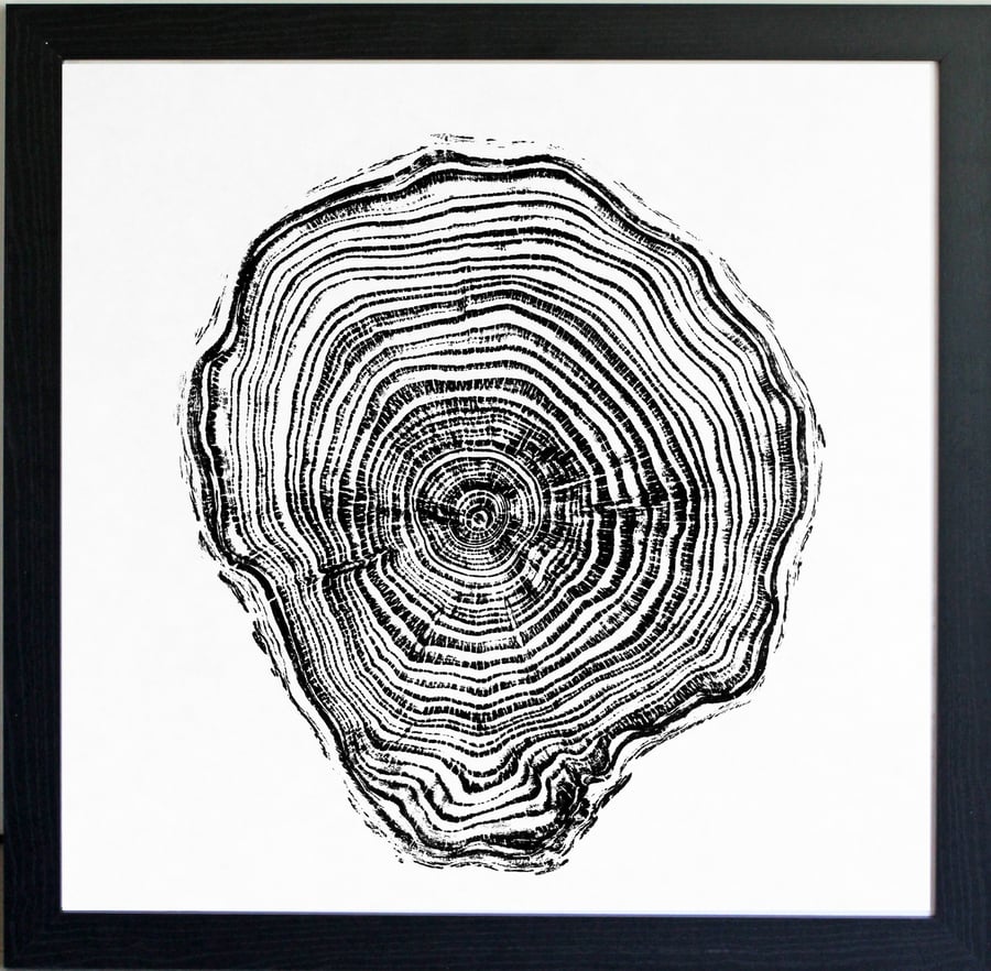 Cypress Tree Ring Art Print 40cm diameter in black