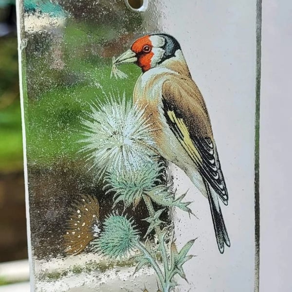 Goldfinch bird Stained Glass suncatcher